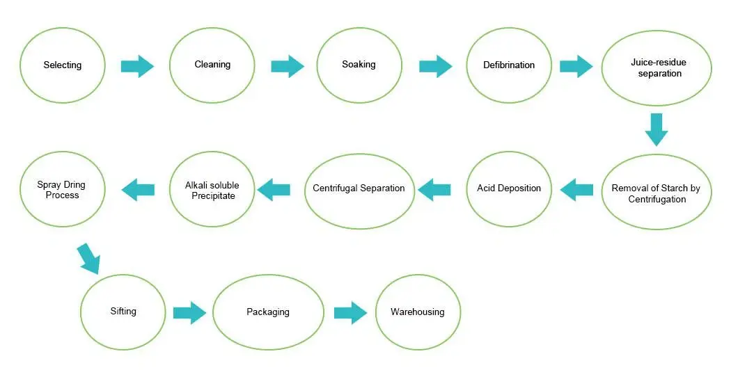 Pea Protein Powder Flow Chart.webp